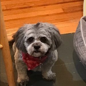 Meet your Posher, Charles